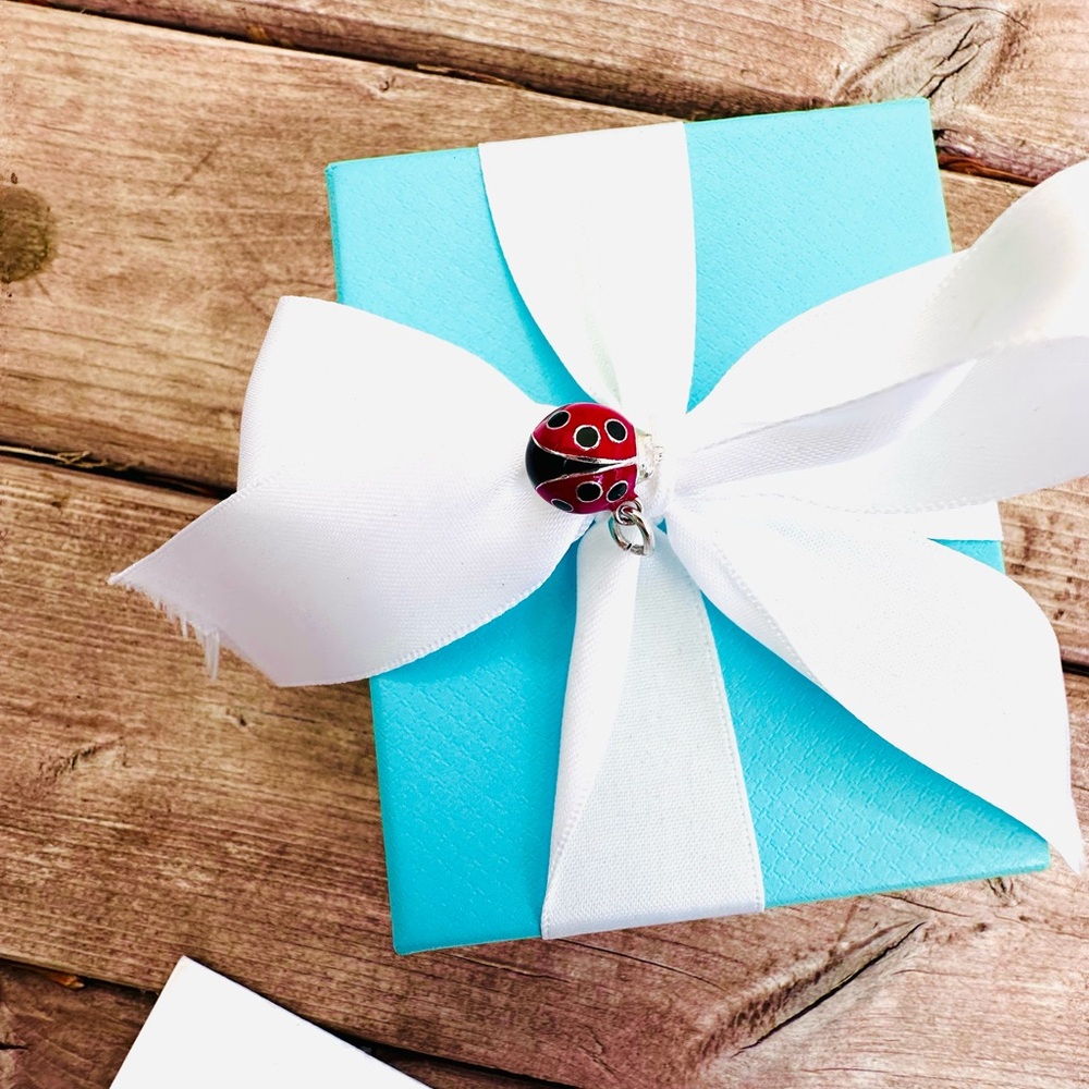 ♥️Silver 925 Red Ladybug Charm♥️